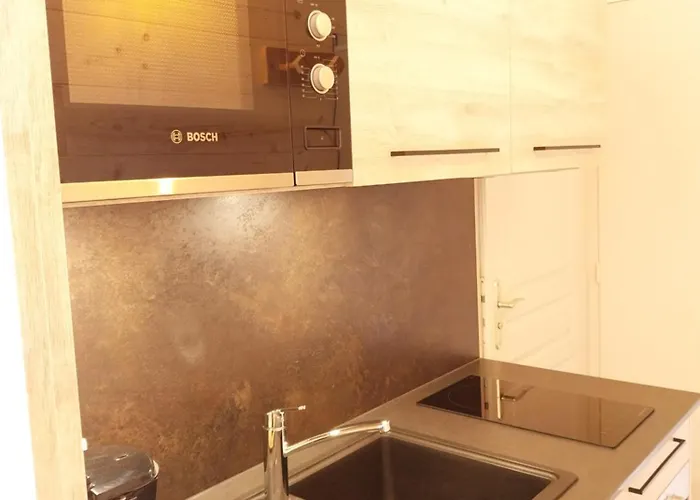 アパートホテル Plaisance 3*